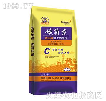 ̼Ԫ��΢�������-̼����-��ķɳ