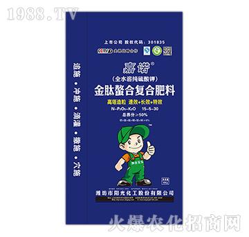 �������Ϗ�(f��)�Ϸ���15-