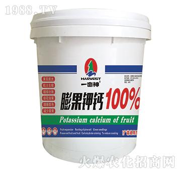 �����}-һ����