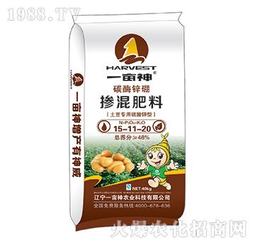 ����������̼ø�\�𓽻�