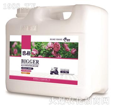 ������ľ��(zhu��n)�ø߷��ӏ�(f��)�����ЙC(j��)����Һ�ʣ�5kg��-�̸�-�ɭ�r(n��ng)�I(y��)