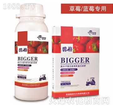 草莓專(zhuān)用高分子復(fù)合肽有機(jī)蛋白液肥-碧格-瀚森農(nóng)業(yè)