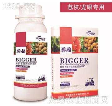 荔枝龍眼專(zhuān)用高分子復(fù)合肽有機(jī)蛋白液肥-碧格-瀚森農(nóng)業(yè)