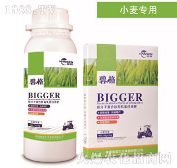 小麥專用高分子復(fù)合肽有機蛋白液肥-碧格-瀚森農(nóng)業(yè)