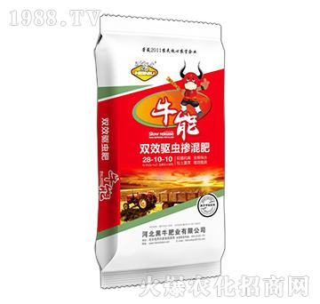 �pЧ�(q��)�x�����28-1