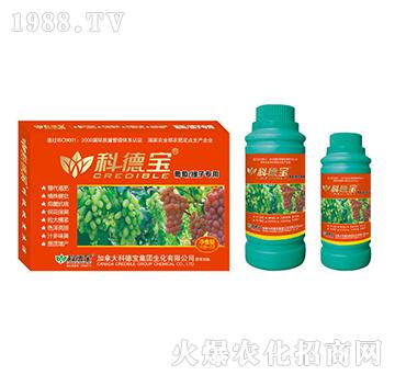 ���������ӌ��àI(y��ng)�B(y��ng)���a(ch��n)�{(di��o)�턩-�Ƶ�