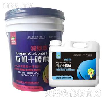 �ЙC(j��)+̼ø-��(r��n)�G��-��(��i)�r(n��ng)˹�_(d��)