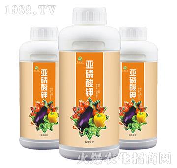 �������-��ɭ�r��