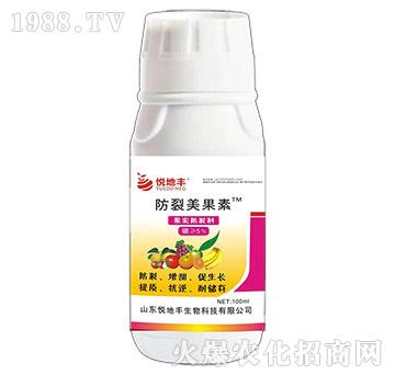 ����������-����(sh��)���ф�-�����S