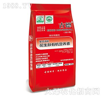 ��(f��)�������������ЙC(j��)�I�B(y��ng)��-��ķɳ