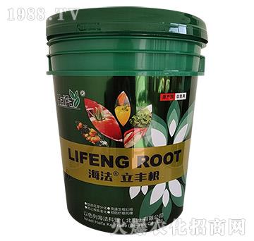 ���S�������-�������Q(m��o)