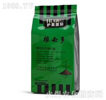 ���ض�-�o�����H