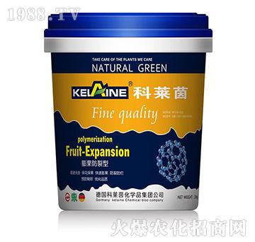 �������-���R��-�W���r(n��ng)�I(y��)