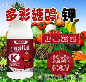 多彩糖醇鉀-田小超