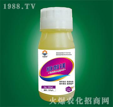 �Ǵ��V-�W�ʩ