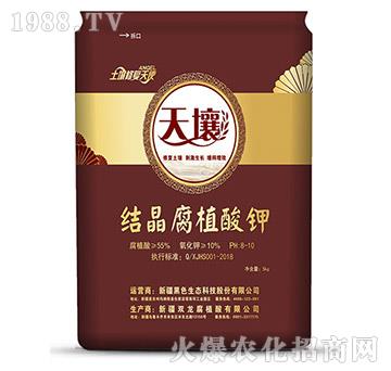�Y����ֲ���-����