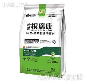 ���ĸ�����-���_��