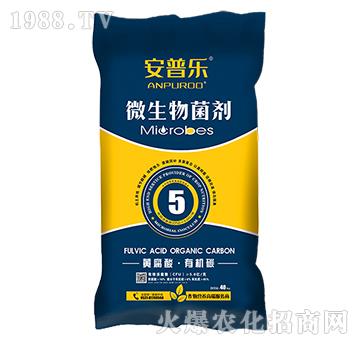 5�|ÿ���S�����ЙC(j��)̼΢�������-���՘�-�f�����B(t��i)