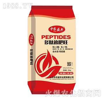 ����׷��-���r(n��ng)ʢ�S