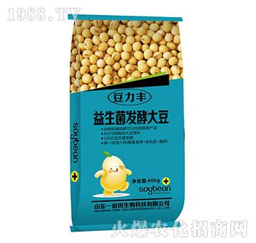 �������l(f��)�ʹ�-�����S-Ҽ������