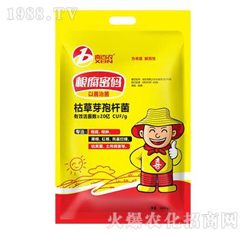 �����ܴa-ϲ���r-ϲ�m��