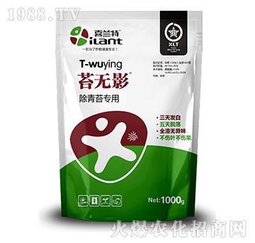 除青苔專用-苔無(wú)影-喜蘭特