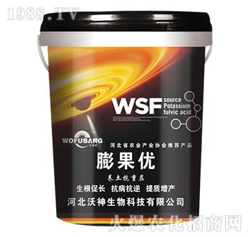 �����(y��u)-��������