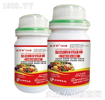 �������\�}�V�-13Ԫ��-���˹����r(n��ng)��