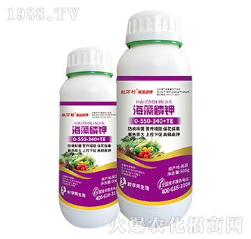 �������-�������-���˹����r��