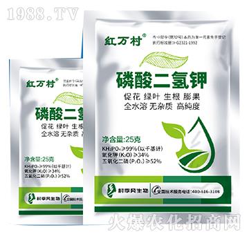 ��������-���˹����r(n��ng)��