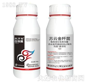 �K�ƽ�U��-�׼Ӻ�-���˹����r��