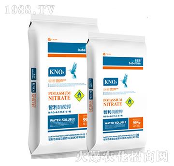 ���������13.5-0-46-������-�vɭ�ʘI(y��)