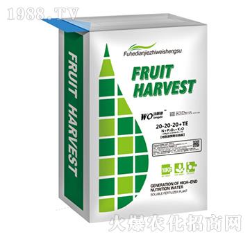 10kg����Ԫ��ˮ�ܷ���20-20-20+TE-���ʵ�-�vɭ�ʘI(y��)