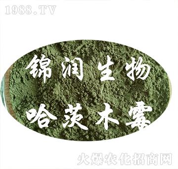 ����ľù��-�\��(r��n)����