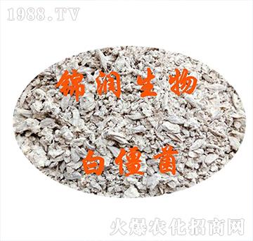 �׽���-�\��(r��n)����