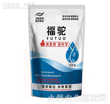 �����������ײ�-���-���r(n��ng)˹�_(d��)