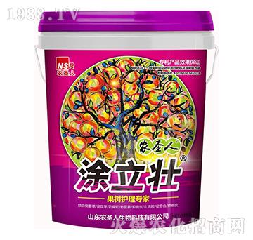 ����(sh��)�o(h��)�팣(zhu��n)��-Ϳ����-�r(n��ng)ʥ��
