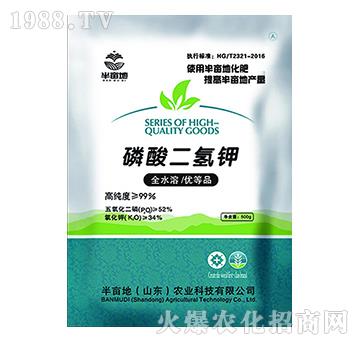 ��������-�뮀��