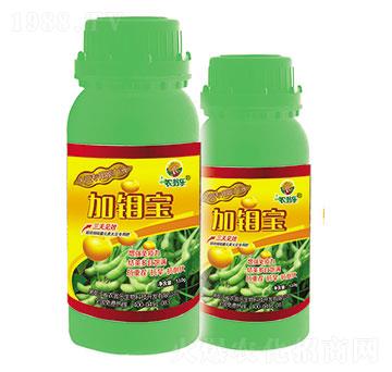 �����-���f��-�r(n��ng)�̘�