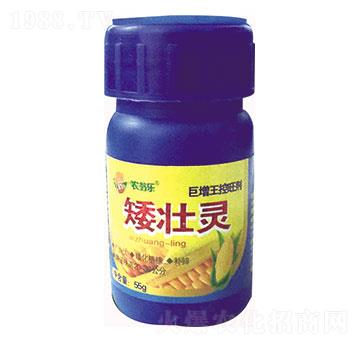 �����`-�r(n��ng)�̘�(l��)