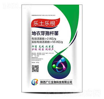 ����ѿ�ߗU��-��������-�V������