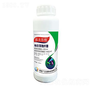 ����ѿ�ߗU��-����������ƿ��-�V������