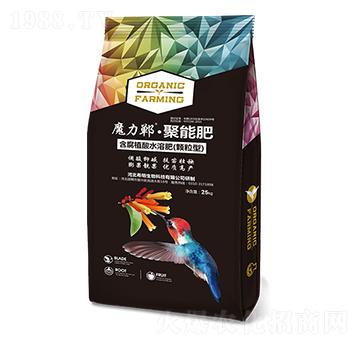 ���ܷ�-ħ����-ϣ������