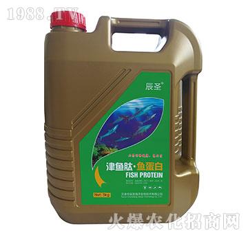 ���~�ġ��~����-��ʥ����