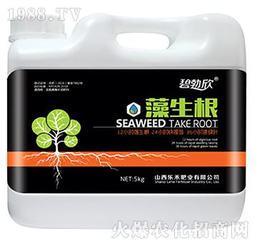 ������-��(l��)��