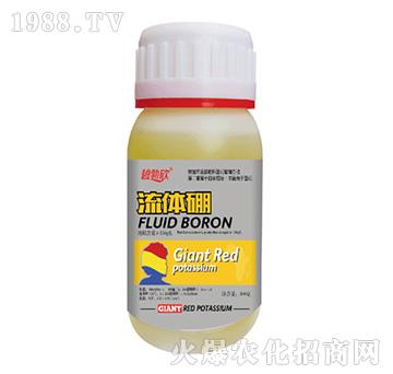 ���w��-����