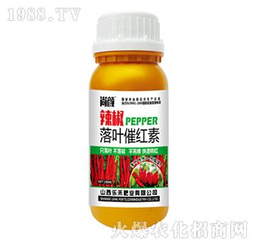 �����߼t��-����