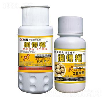 土豆專用潤得福-恒綠植物