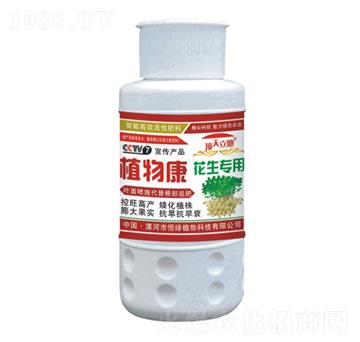 花生專用植物康-頂天立地-恒綠植物