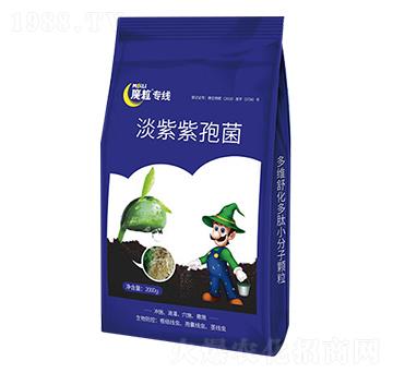 �������߾�-ħ������-ħ���ʘI(y��)